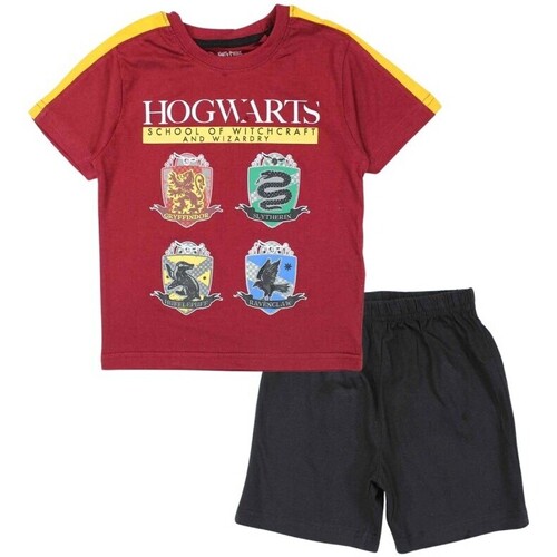 Vêtements Garçon Ensembles enfant Harry Potter Harry Rouge