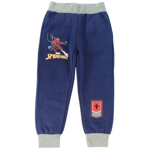 Vêtements Garçon Jeggins / Joggs Jeans Disney Pantalon Bleu