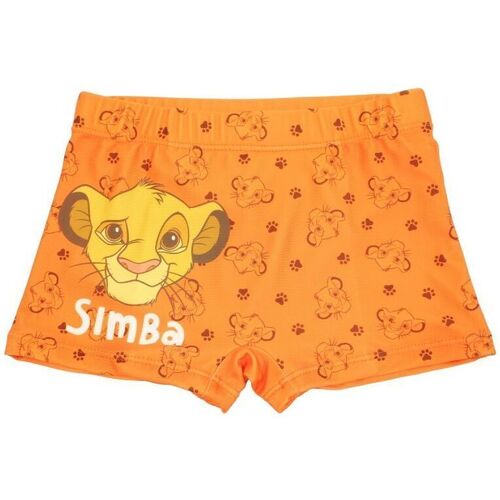 Vêtements Garçon Maillots / Shorts de bain Disney Boxer Orange