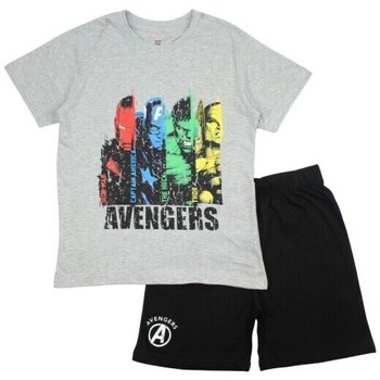 Vêtements Garçon Ensembles enfant Avengers  Gris