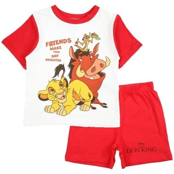 Vêtements Garçon Ensembles enfant Disney  Rouge