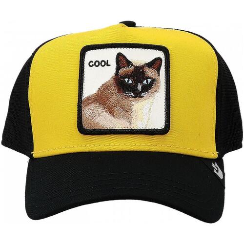 Accessoires textile Chapeaux Goorin Bros COOL CAT Doré