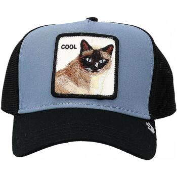 Accessoires textile Chapeaux Goorin Bros COOL CAT Autres