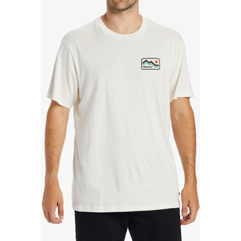 Vêtements Homme T-shirts manches courtes Billabong Length Blanc