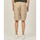 Vêtements Homme Shorts / Bermudas Dickies Short cargo homme Beige