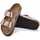 Chaussures Femme Sandales et Nu-pieds Birkenstock Arizona bf Doré