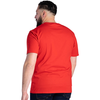 Ruckfield Tee-shirt col rond Rouge