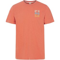 Vêtements Homme T-shirts manches courtes Protest  Orange