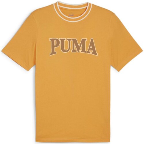 Vêtements Homme T-shirts manches courtes Puma  Orange