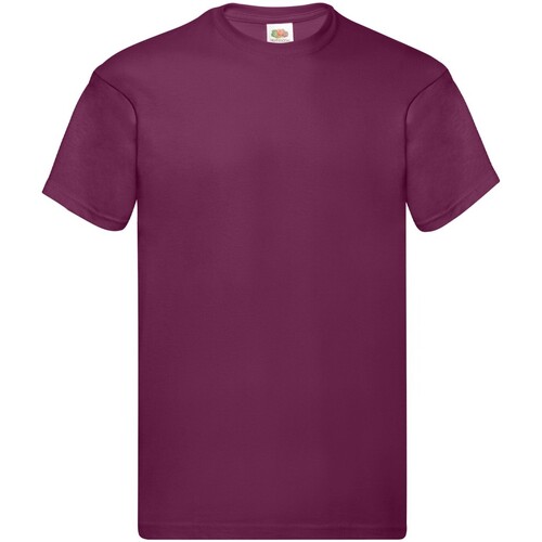 Vêtements Homme T-shirts manches longues Fruit Of The Loom Original Multicolore