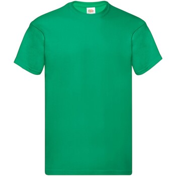 Vêtements Homme T-shirts manches longues Fruit Of The Loom Original Vert