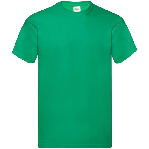 Vêtements Homme T-shirts manches longues Fruit Of The Loom Original Vert