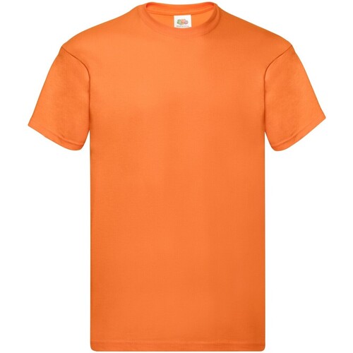 Vêtements Homme T-shirts manches longues Fruit Of The Loom Original Orange