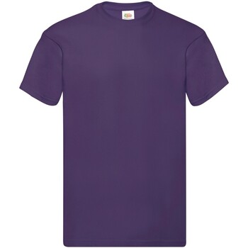 Vêtements Homme T-shirts manches longues Fruit Of The Loom SS048 Violet