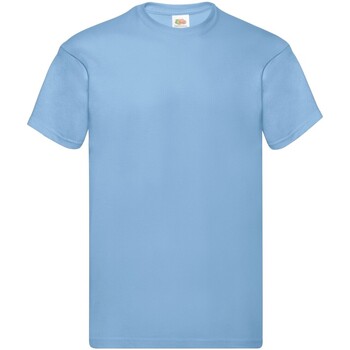 Vêtements Homme T-shirts manches longues Fruit Of The Loom Original Bleu