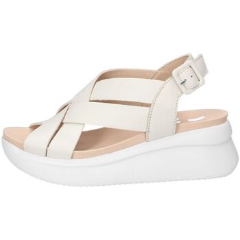 Chaussures Femme Sandales et Nu-pieds CallagHan 29902/24 Blanc