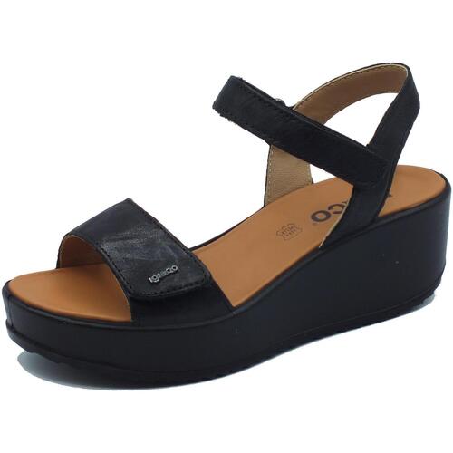 Chaussures Femme Sandales et Nu-pieds IgI&CO 5668700 Capra Noir