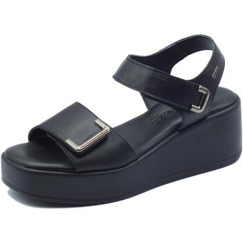 Chaussures Femme Sandales et Nu-pieds IgI&CO 5687300 Vitello Noir