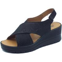 Chaussures Femme Sandales et Nu-pieds IgI&CO 5667300 Nabuk Noir