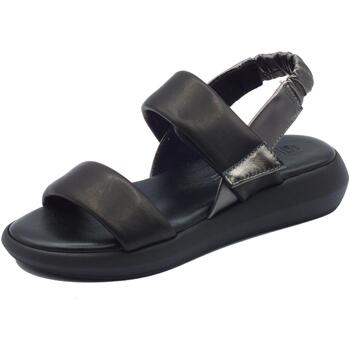 Chaussures Femme Sandales et Nu-pieds IgI&CO 5684400 Capra Noir