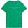 Vêtements Garçon T-shirts manches courtes Tommy Hilfiger 163130VTPE24 Vert