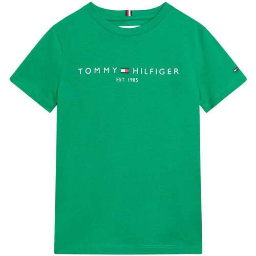Vêtements Garçon T-shirts manches courtes Tommy Hilfiger 163130VTPE24 Vert