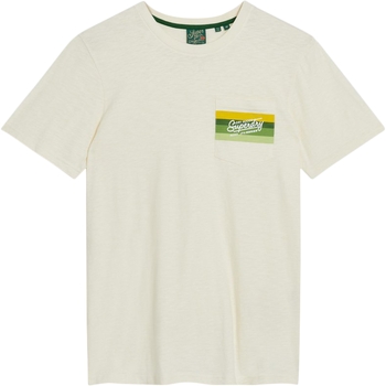 Vêtements Homme T-shirts manches courtes Superdry Cali Striped Logo Beige