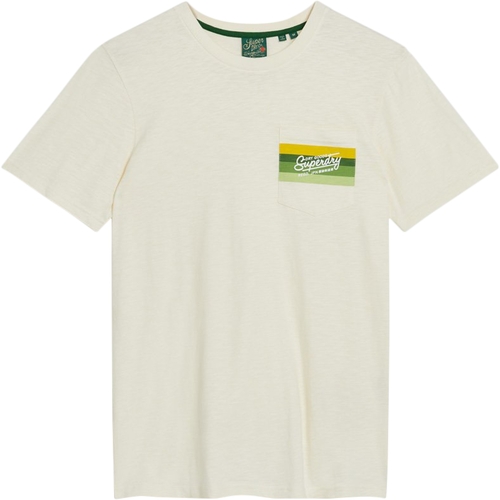 Vêtements Homme T-shirts manches courtes Superdry Cali Striped Logo Beige