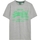 Vêtements Homme T-shirts manches courtes Superdry Neon VL Gris