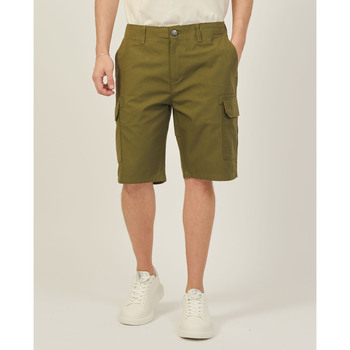 Vêtements Homme Shorts / Bermudas Dickies Pantalon cargo en coton Vert