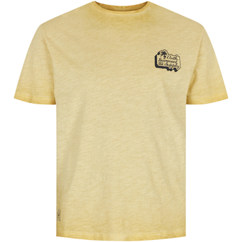 Vêtements Homme T-shirts & Polos North 56°4 Tee-shirt col rond coton Jaune