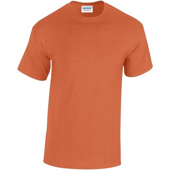 Vêtements Homme T-shirts manches longues Gildan Heavy Cotton Orange