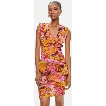 Vêtements Femme Robes Pinko ANDROGEO 103224 A1OB-NH6 multicolore