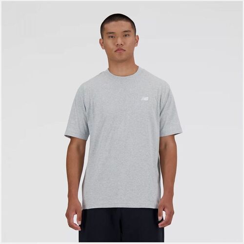 Vêtements Homme T-shirts & Polos New Balance MT41509-NWG Gris