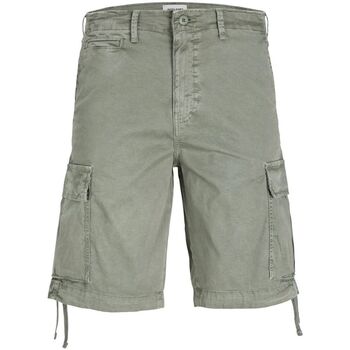 Vêtements Homme Shorts / Bermudas Jack & Jones 12253122 COLE-AGAVE GREEN Vert