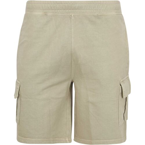 Vêtements Homme Shorts / Bermudas Superdry  Beige