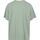 Vêtements Homme T-shirts & Polos Levi's T-shirt Big & Tall Original Vert Aqua Vert