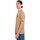 Vêtements Homme T-shirts & Polos Element Timber sight Beige