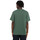 Vêtements Homme T-shirts & Polos Element Crail Vert