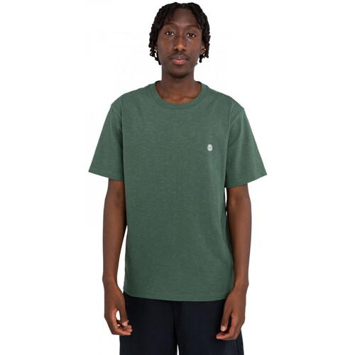 Vêtements Homme T-shirts & Polos Element Crail Vert