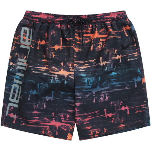 Vêtements Homme Shorts / Bermudas Animal Deep Dive Multicolore