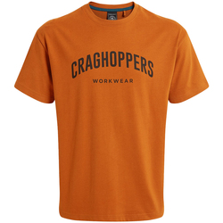 Vêtements Homme T-shirts manches longues Craghoppers PC6932 Multicolore