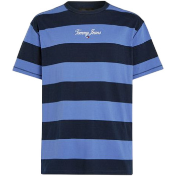 Vêtements Homme T-shirts manches courtes Tommy Jeans DM0DM18655 Bleu