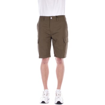 Vêtements Homme Shorts / Bermudas Dickies DK0A4XED Vert