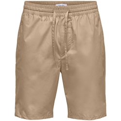 Vêtements Homme Shorts / Bermudas Only & Sons  22028509 Beige
