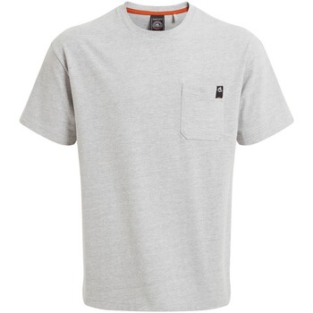Vêtements Homme T-shirts & Polos Skins Craghoppers Wakefield Workwear Gris