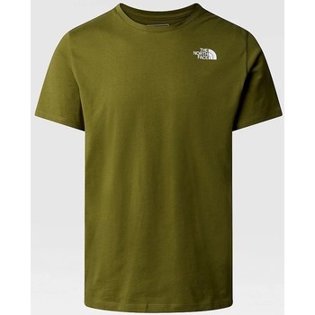 Vêtements Homme T-shirts & Polos The North Face NF0A8830PIB1 Vert