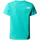 Vêtements Homme T-shirts & Polos The North Face NF0A87T6PIN1 Vert