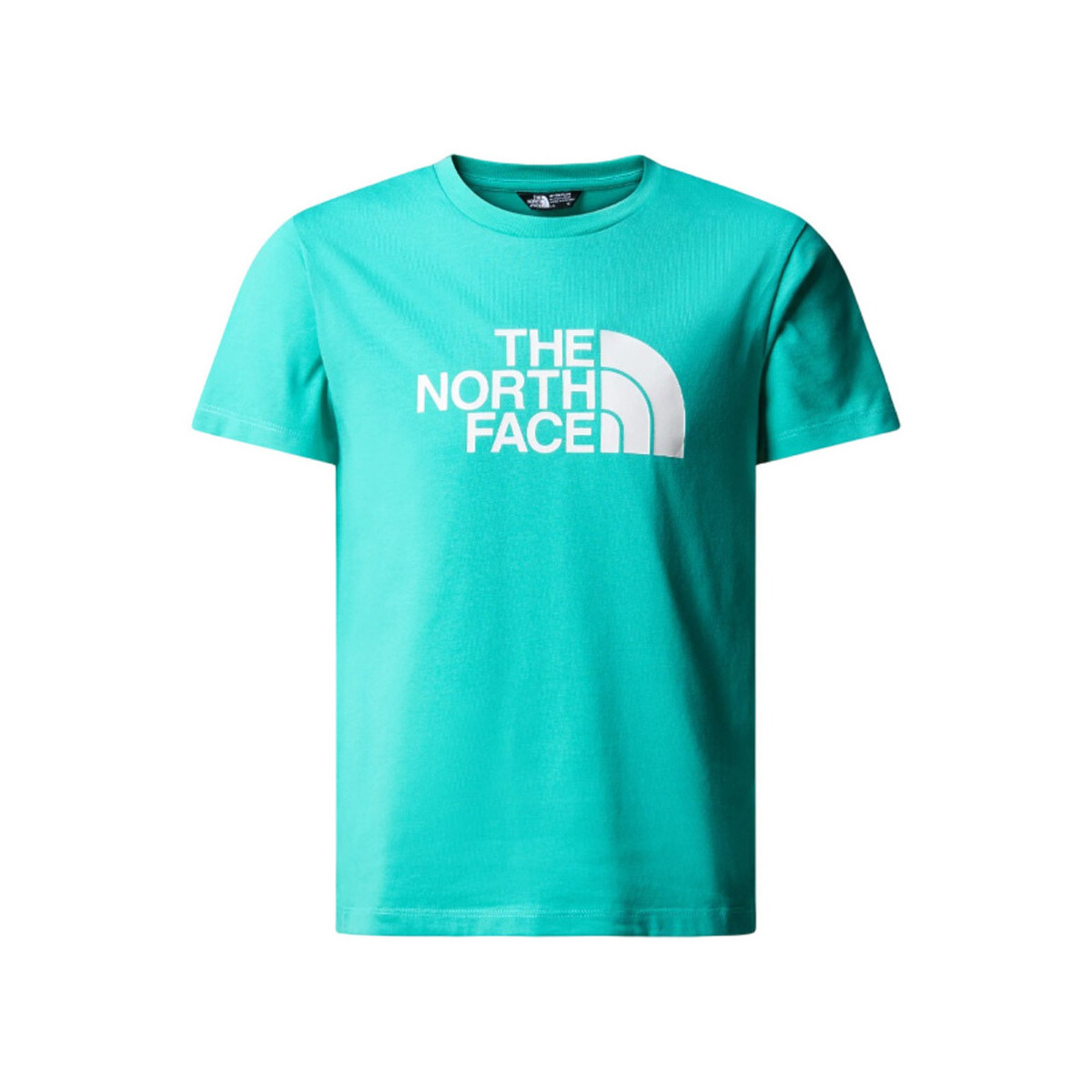 Vêtements Homme T-shirts & Polos The North Face NF0A87T6PIN1 Vert