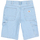 Vêtements Homme Shorts / Bermudas Dickies DK0A4XCKC151 Bleu